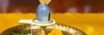 cropped images 4.jpg