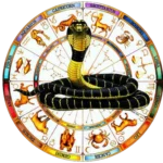 kaalsharp dosh shanti puja pujabooking c0ece962 fddd 49cd 8f32 edd6a6fdb473