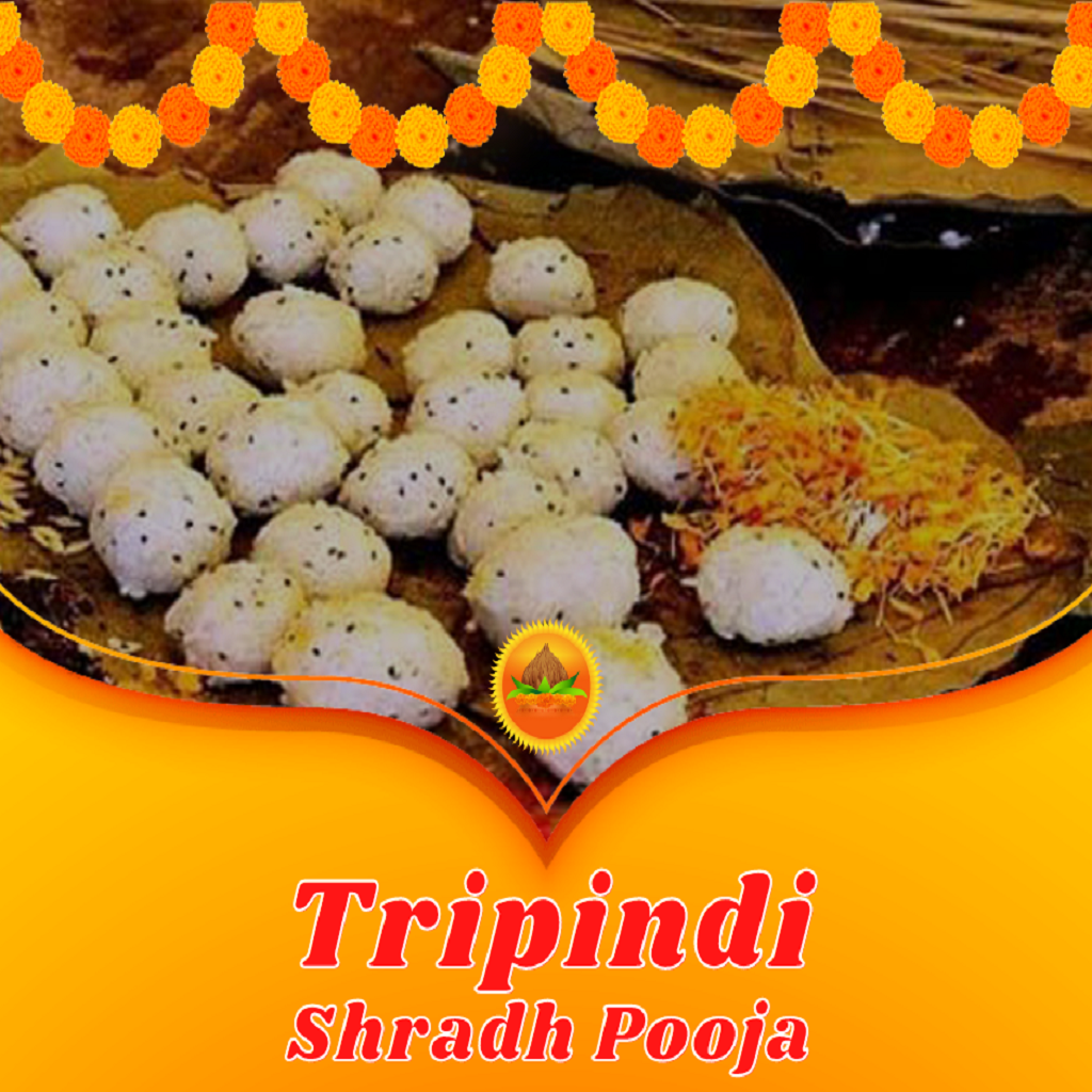 Narayan Nagbali Tripindi Pooja 